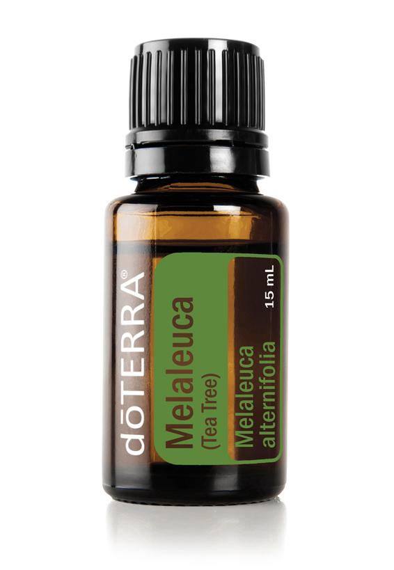 Tea Tree Essential Oil